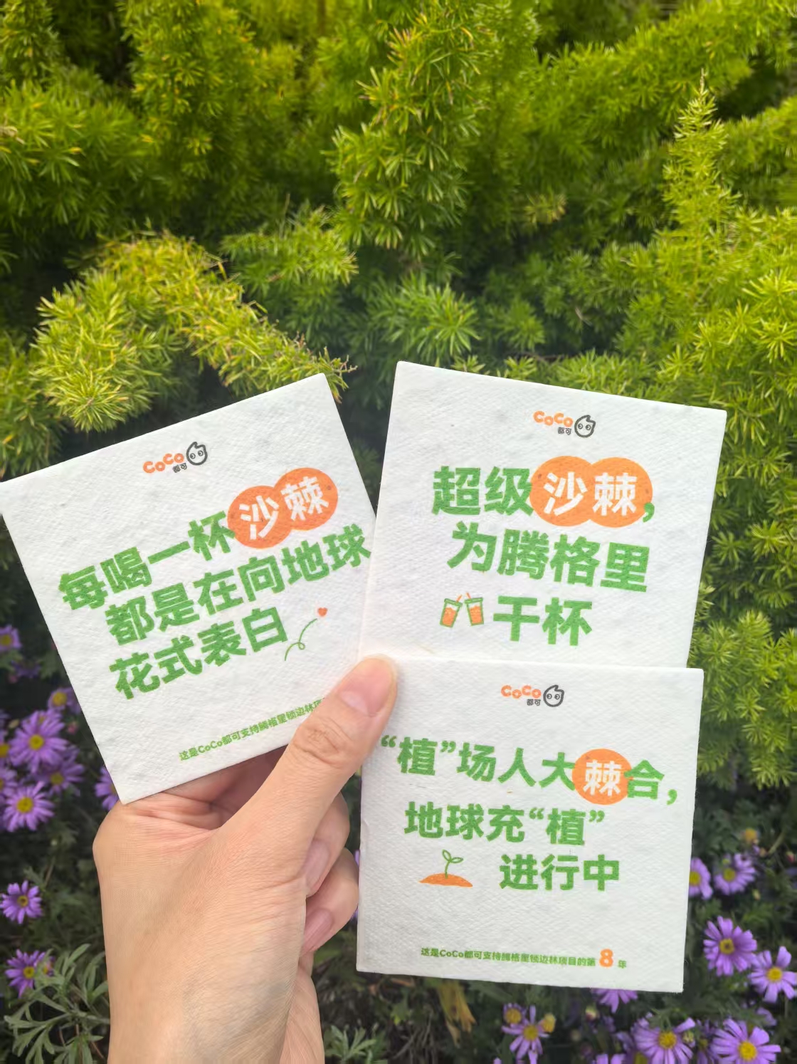 e0cdc3ab4f212ac1966b770a0fe2dc2.jpg e0cdc3ab4f212ac1966b770a0fe2dc2.jpg